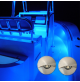 HALF MOON STAINLESS STEEL LED COURTESY LIGHT- 12 Volts - 1 Watt - IP67 - Available color: Blue / white or warm white - WK-SS1SPX - AZLED